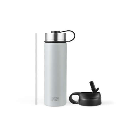 22 Oz Double - walled Insulated Stainless Steel Water Bottle with 2 Lids and Straw - Gray - Your One Stop Shop
