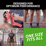 Bear KompleX Lifting Straps (Pair) - Your One Stop Shop