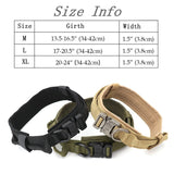Dog Collar - Your One Stop Shop
