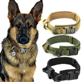 Dog Collar - Your One Stop Shop