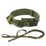 Dog Collar - Your One Stop Shop