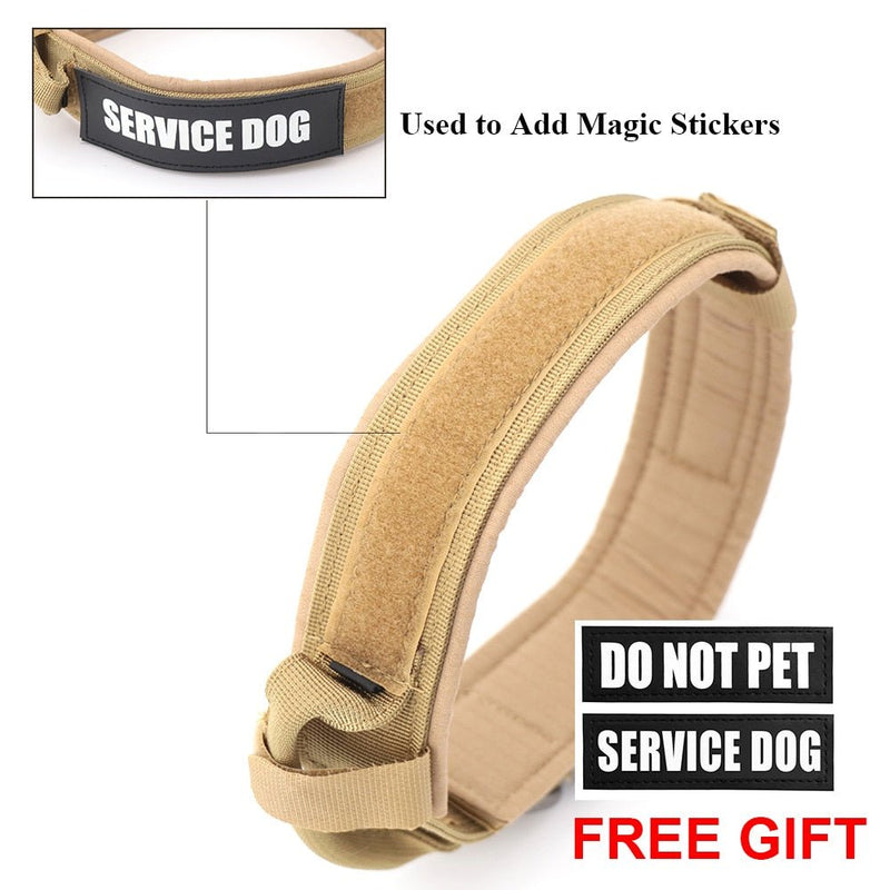 Dog Collar - Your One Stop Shop