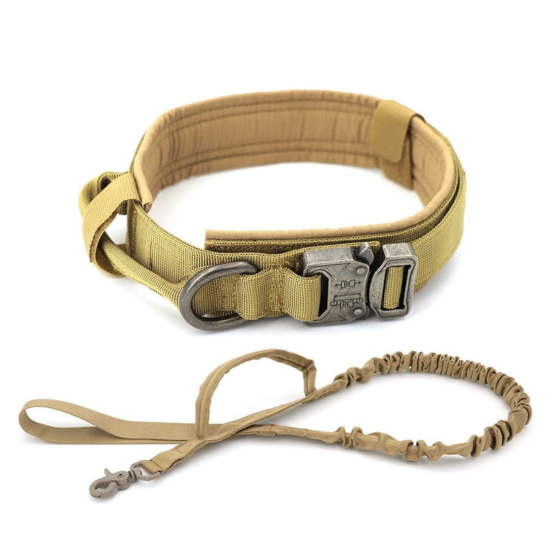 Dog Collar - Your One Stop Shop