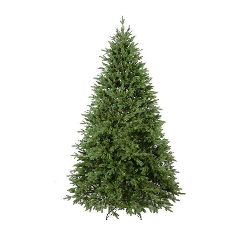 Fir Christmas Tree - Your One Stop Shop