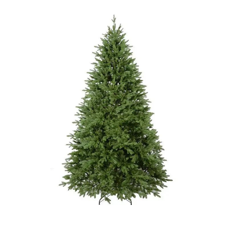 Fir Christmas Tree - Your One Stop Shop