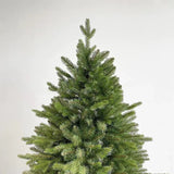 Fir Christmas Tree - Your One Stop Shop
