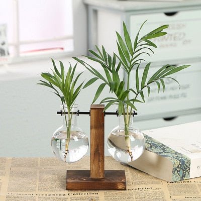 Hydroponic Transparent Plant Vases - Your One Stop Shop
