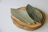Large Leaf Dish - Your One Stop Shop