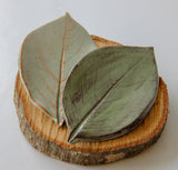 Large Leaf Dish - Your One Stop Shop