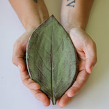 Large Leaf Dish - Your One Stop Shop