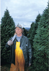 Real Christmas Trees Delivered 4 Foot Premium Balsam Fir Christmas Tree - Your One Stop Shop