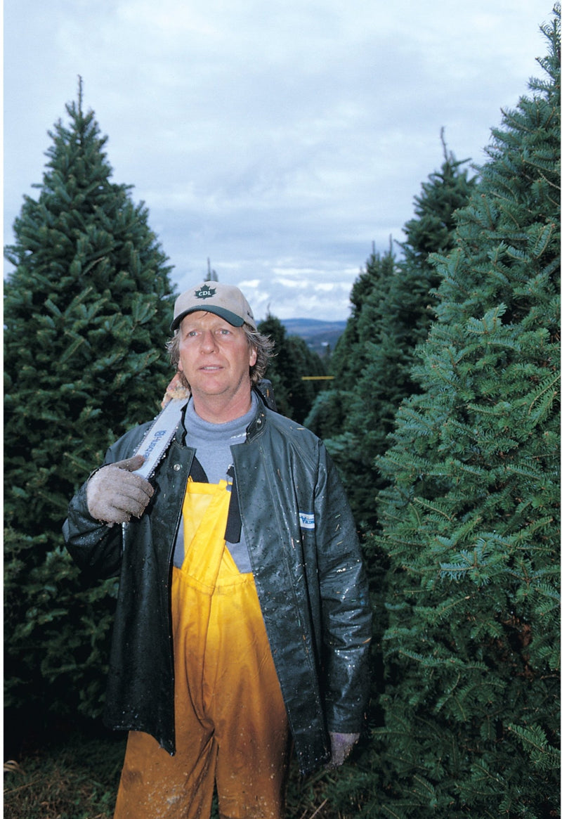 Real Christmas Trees Delivered 5 Foot Premium Balsam Fir Christmas Tree - Your One Stop Shop