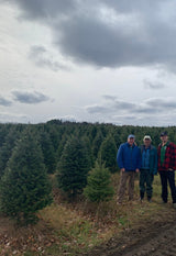 Real Christmas Trees Delivered 7 Foot Premium Balsam - Fraser Fir Hybrid - Your One Stop Shop
