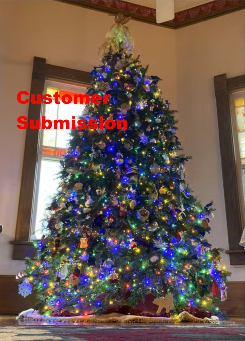 Real Christmas Trees Delivered 8 Foot Premium Balsam Fir Christmas Tree - Your One Stop Shop