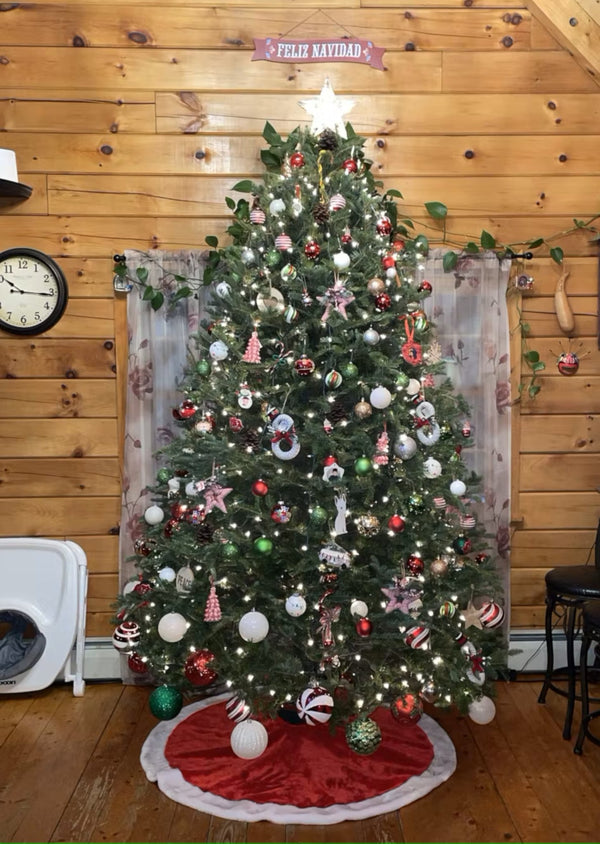 Real Christmas Trees Delivered 9 Foot Premium Balsam Fir Christmas Tree - Your One Stop Shop