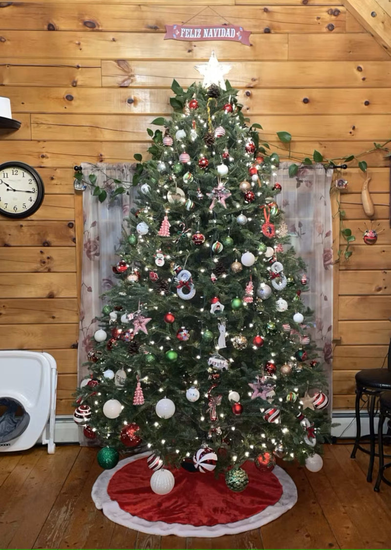 Real Christmas Trees Delivered 9 Foot Premium Balsam Fir Christmas Tree - Your One Stop Shop