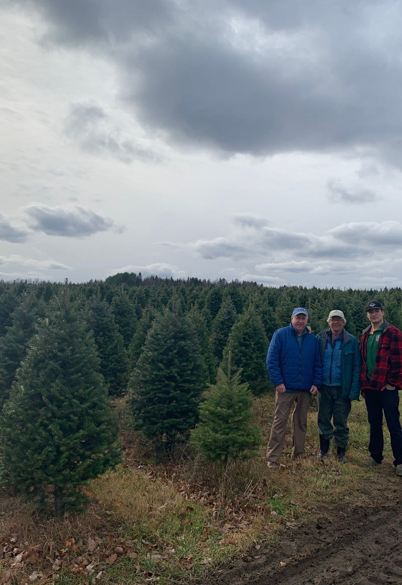 Real Christmas Trees Delivered 9 Foot Premium Balsam Fir Christmas Tree - Your One Stop Shop