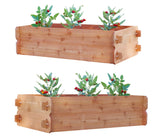 SET OF 2 Timberlane Gardens Easy Raised Garden Bed Kits. Double Deep. Select Cedar. Mortise & Tenon. 2' W x 4' L - Your One Stop Shop