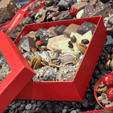 Signature Groveland Sampler Box - Your One Stop Shop