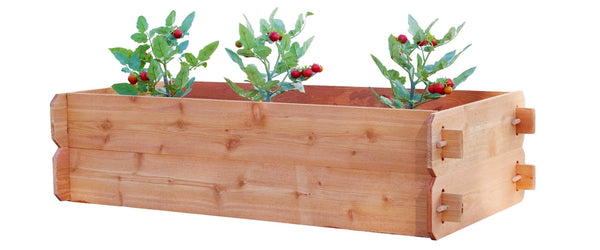Timberlane Gardens Raised Garden Bed Kit Double Deep (Two 2x4) Select Cedar - Your One Stop Shop