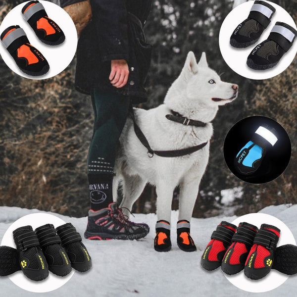 Waterproof Reflective Dog Boots - Your One Stop Shop